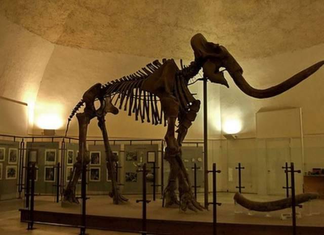 MUNDA L’AQUILA: TOTEM, 3D E REALTA’ VIRTUALE PER IMMERGERSI NEI TESORI DEL MUSEO E DEL CASTELLO