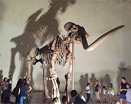 L’AQUILA: IL TRIONFO DEL MAMMUT, IN 10 MILA CON IL NASO ALL’INSU’ DI FRONTE A ”SUA MAESTA”’