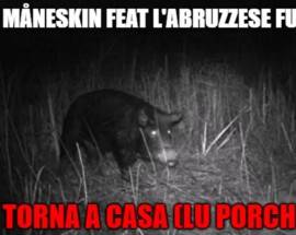 PARODIA ABRUZZESE BRANO MANESKIN ”LU PORCH N’ARVE”’ SPOPOLA SUI SOCIAL