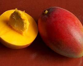 CHIETI: GRANDE ATTESA PER IL CONCERTO DI MANGO