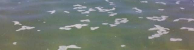 PESCARA: MARE INQUINATO, BALNEATORI  ”SUBITO TASK FORCE”