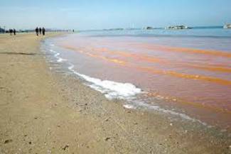 PESCARA: SVERSAMENTI IN MARE DA CANTIERE TERNA, ‘PUBBLICARE ANALISI’