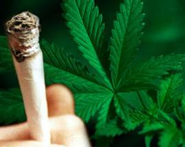 DROGA: 3 CHILI DI MARIJUANA DENTRO AUTO NEL TERAMANO