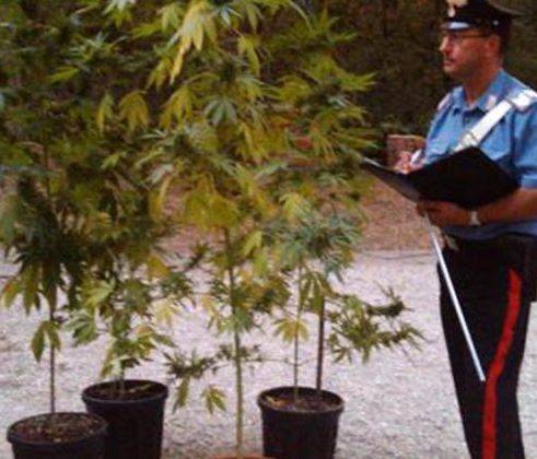 SULMONA: COLTIVAZIONE MARIJUANA IN CASA, ARRESTATO 46ENNE