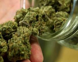 GIULIANOVA: DEUNCIATO 24ENNE PER DETENZIONE E SPACCIO MARIJUANA