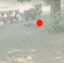 SULMONA: SI MASTURBA SOTTO UN ALBERO ALLA VILLA COMUNALE