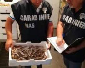 LANCIANO: SEQUESTRO MERCATO COPERTO, TRASFERIMENTO IN VIA PER FRISA