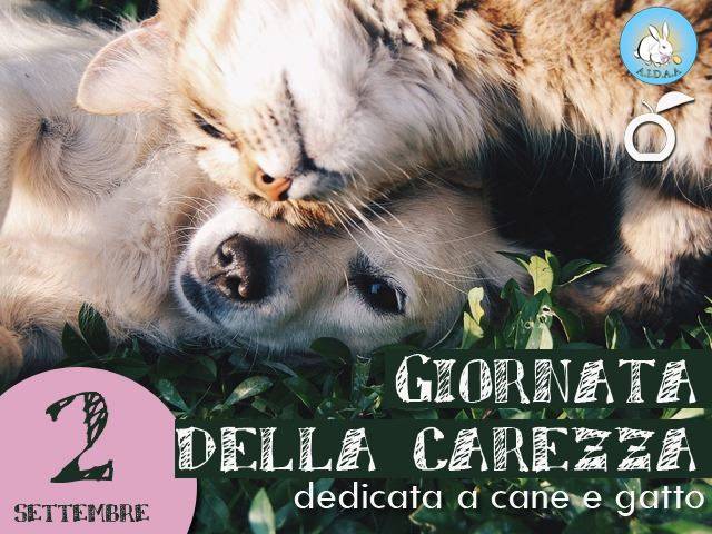 CANI E GATTI, DOMANI LA ”GIORNATA DELLA CAREZZA”