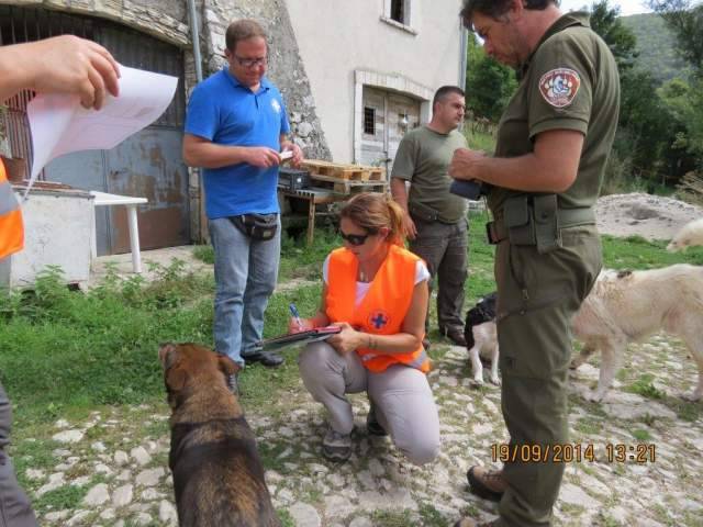 PARCO D’ABRUZZO: OPERAZIONE ANTI RANDAGISMO PER TUTELARE SPECIE SELVATICHE
