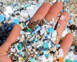 RIFIUTI: PESCI DELL’ADRIATICO NON CRESCONO PERCHE’ SAZI DA MICROPLASTICHE