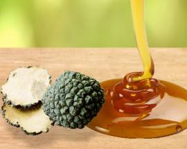 SALONE INTERNAZIONALE BIO BOLOGNA: PER LA PRIMA VOLTA MIELE, OLIO E TARTUFI D’ABRUZZO