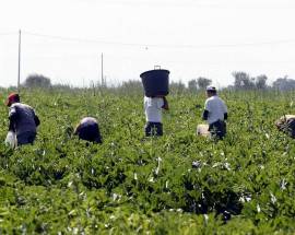 FASE 2: DAL 3 GIUGNO FRONTIERE APERTE PER 150 MILA BRACCIANTI STRANIERI