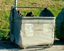L’AQUILA: ”MIGRANTI ROVISTANO TRA I RIFIUTI”, SALVINIANO PROTESTA
