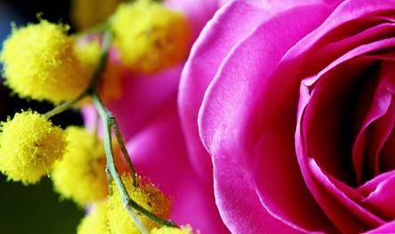 8 MARZO: COORDINAMENTO DONNE E FNP-CISL, EVENTO ALL’EX ONPI