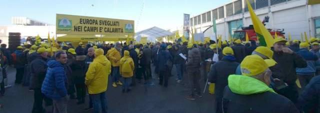 CLIMA: CIMICE KILLER EMERGENZA NAZIONALE, ANCHE L’ABRUZZO SCENDE IN PIAZZA A VERONA