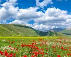 AREE INTERNE: APPROVATO DOCUMENTO ”GRAN SASSO-VALLE SUBEQUANA”