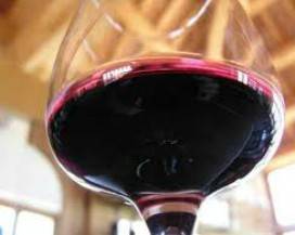 I MIGLIORI VINI ITALIANI 2020 DI MARONI SCHIERA 140 CANTINE