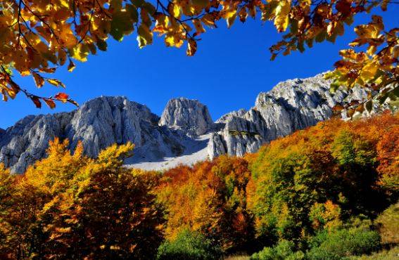 I DONI D’AUTUNNO: ALLA SCOPERTA DI PIANTE, BACCHE E RADICI COMMESTIBILI AI PIEDI DEL MONTE SIRENTE