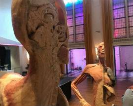 ”BODIES EXHIBITION”: A L’AQUILA LA MOSTRA DI CORPI UMANI VERI CHE FA SCALPORE IN TUTTO IL MONDO