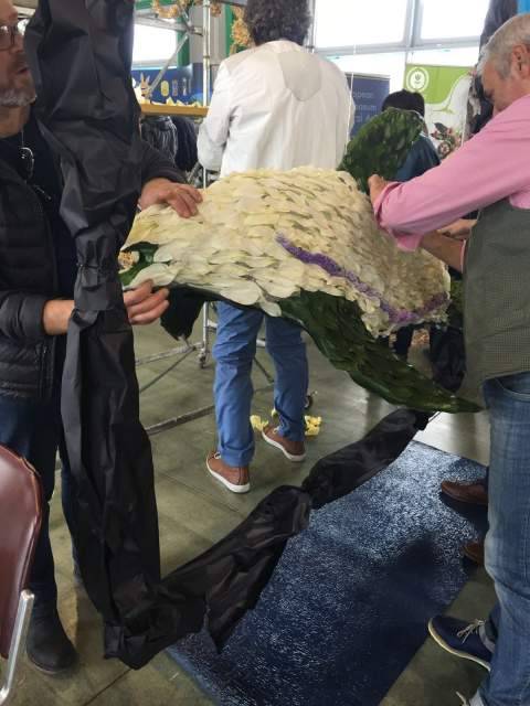 PESCARA: FOLLA AL PORTO TURISTICO PER LA MOSTRA DEL FIORE