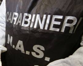 BLITZ NAS IN CENTRI BALNEARI, SEQUESTRI E CHIUSURE TRA CHIETI E PESCARA