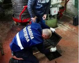 CHIETI: NAS-GUARDIA COSTIERA CHIUSI FRANTOIO E SPACCIO CARNI