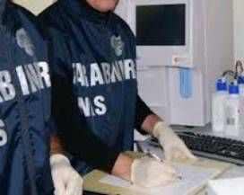 PESCARA: DOPING, SEQUESTRATI PRODOTTI, INDAGATI 2 BODY BUILDER
