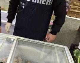 PESCE PER NATALE MAL CONSERVATO, SEQUESTRATE TRE TONNELLATE