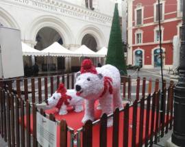 CHIETI: INAUGURAZIONE MERCATINI DI NATALE DI ”DEGUSTANDO IL CENTRO”