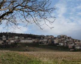 SAGRE: A NAVELLI TORNA QUELLA DEI CECI E DELLO ZAFFERANO