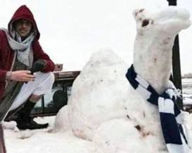 ROSE IN EUROPA, NEVE IN ARABIA: ECCO IL PAZZO INVERNO 2020