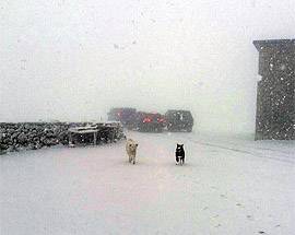 MALTEMPO: NEVE SUL GRAN SASSO, TEMPERATURA SOTTO ZERO, PIOGGE OVUNQUE