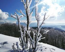 MALTEMPO: ARRIVA LO SCIROCCO, SU PIANE APPENNINO 30 GRADI DI DIFFERENZA CON MERCOLEDI’