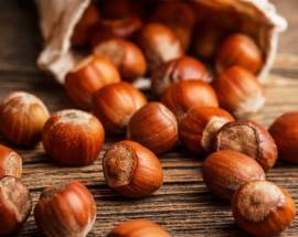 PROGETTO NOCCIOLE FERRERO: AL VIA IMPIANTI IN ABRUZZO