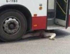 PECHINO: NONNINA FINISCE SOTTO BUS, LA FOLLA SCATTA FOTO E NON LA AIUTA