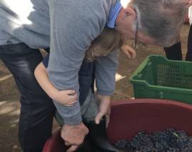 TERAMO: NONNI IN VIGNA, UN PERCORSO SENSORIALE CON I NIPOTINI
