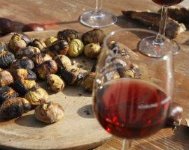 VINO NOVELLO, CASTAGNE E OLIO NUOVO, IN 35MILA A TREGLIO PER ”BORGO RURALE”