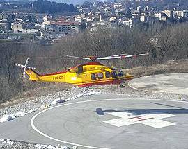 ASSALITO DALLE API IN TARTUFAIA, PAURA PER 43ENNE DI SAN DEMETRIO