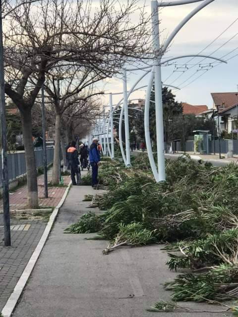 STRAGE DI OLEANDRI SULLA STRADA PARCO TRA PESCARA E MONTESILVANO, E’ POLEMICA