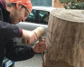 AVEZZANO: OPERE D’ARTE DA VECCHI TRONCHI GRAZIE ALL’ARTISTA PIETRO MARI