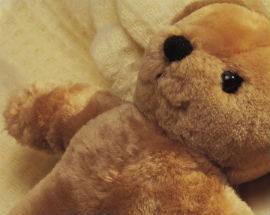 INGHILTERRA: RUBA IN CASA E POI FA SESSO CON ORSETTO DI PELUCHE