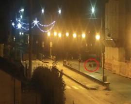 ORSETTI PASSEGGIANO ALLA STAZIONE A CIVITA D’ANTINO, IL VIDEO E’ VIRALE