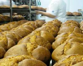 NATALE: ARRIVA IL ”PANETTONE DEL GUSTO” AL MONTEPULCIANO A TORANO NUOVO