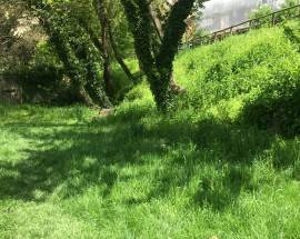 L’AQUILA: RIPULITO PARCO DELLE ACQUE, ”PIANO CURA DEL VERDE SARA’ CONCLUSO IN 15 GIORNI”