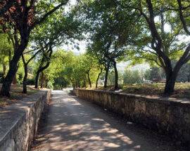 L’AQUILA: STUDENTI PULISCONO PARCO DEL SOLECON LEGAMBIENTE E ASM