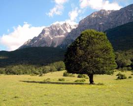 ABRUZZO, ‘MILLEPROROGHE’: CI SONO PARCO SIRENTE-VELINO E ‘SOTTOTETTI’