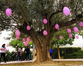 LOTTA AL TUMORE AL SENO: UNA PASSEGGIATA DELLA SALUTE AL CAMPUS DI CHIETI