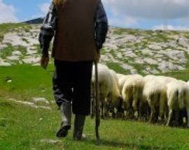 PARCO GRAN SASSO, VIAGGIO-STUDIO AD ASIAGO PER SCAMBIO ESPERIENZE