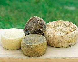 ‘PECORINO E PECORINI’, FARINDOLA SI LECCA I BAFFI CIBO, VINO ED EVENTI NELLO SPLENDIDO BORGO