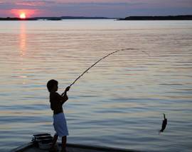 RIAPRE STAGIONE DELLA PESCA, 24 QUINTALI DI TROTE NEI FIUMI